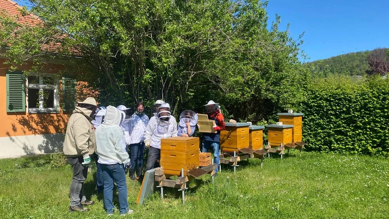 Seminarteilnehmer stehen um mehrere Bienenbeuten