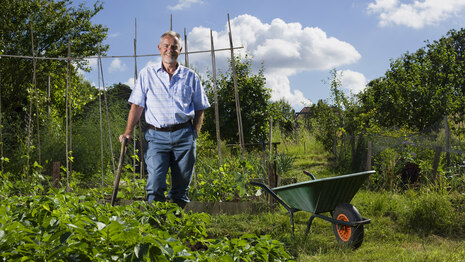 Kleingärtner steht im Garten