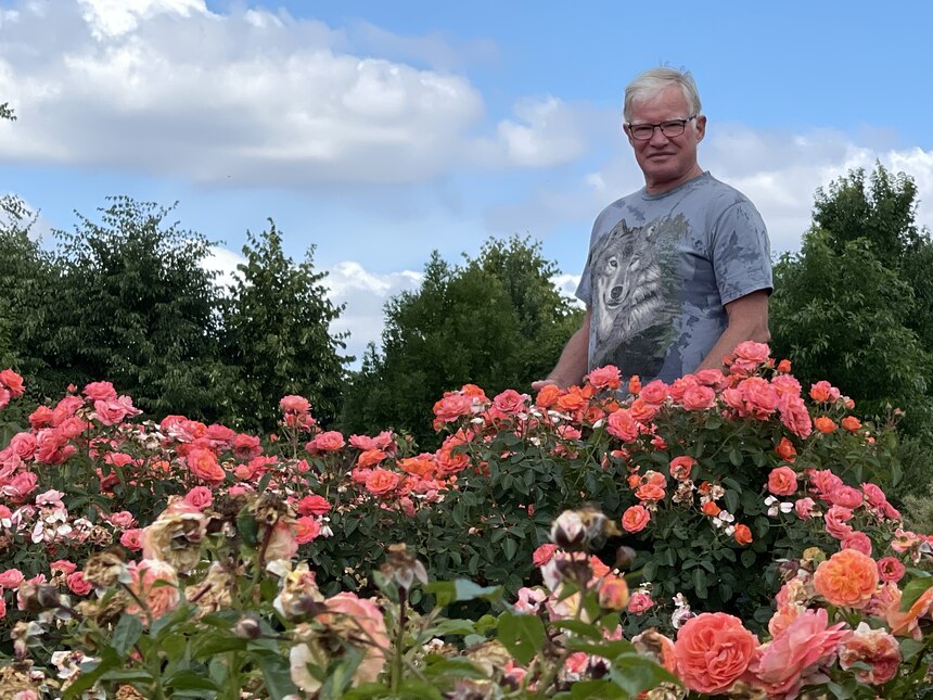 Hubertus Franke mit Rosen