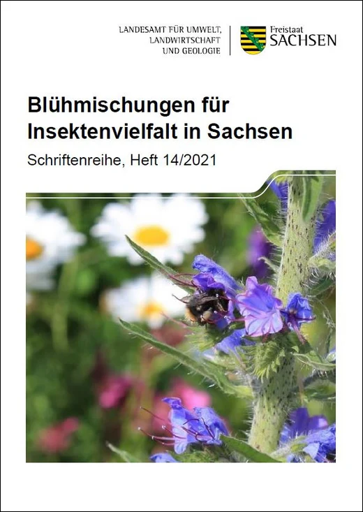 Titelblatt der Publikation »Blühmischungen für Insektenvielfalt in Sachsen«