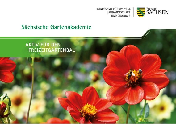 große rote Blüten im Vordergrund mit Schriftzug: Aktiv für den Freizeitgartenbau