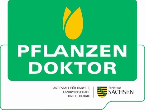  Pflanzendoktoren in Sachsen stehen für Beratungen zur Pflanzengesundheit zur Verfügung