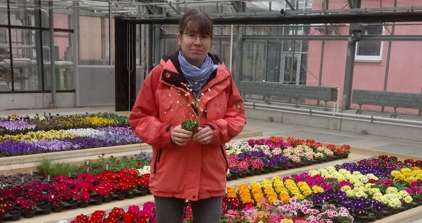ZIerpflanzen-Expertin im Gewächshaus mit Frühjahrsblühern