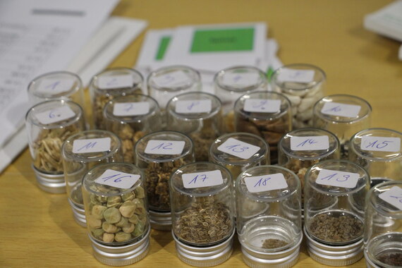 Sämereien in kleinen Gläsern